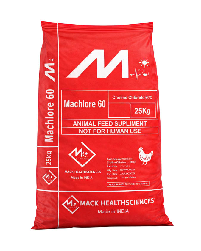 MACHLORE